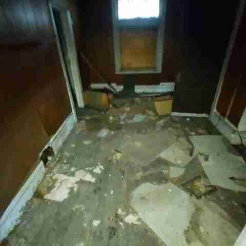 8031 conger (17).jpg